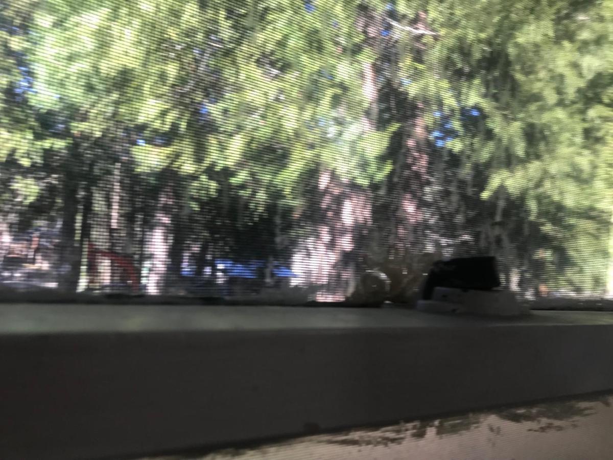 Dunsmuir Lodge ภายนอก รูปภาพ