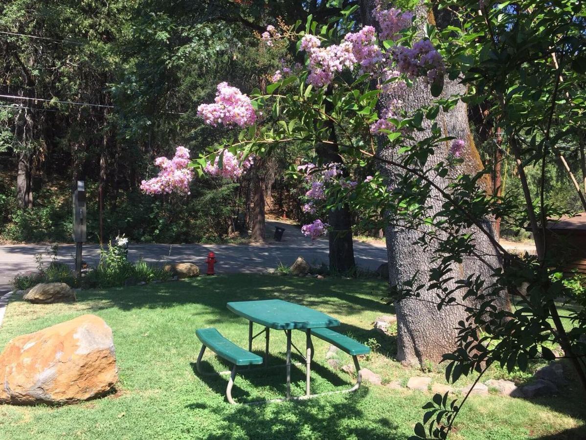 Dunsmuir Lodge ภายนอก รูปภาพ